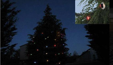 Solar cat eye road studs on the Christmas tree